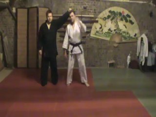 Yoko kami dori : atemi waki