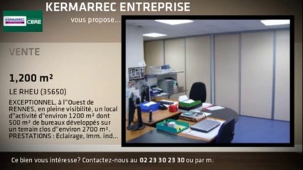 A vendre - Activités - LE RHEU (35650) - 1 200m²