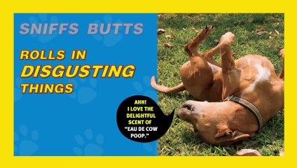 How to Speak Dog: A Guide to Decoding Dog Language by Aline Alexander Newman and Gary Weitzman Book Trailer