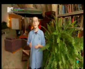 MEGACASAS (TEEN CRIBS) 31 ESPAÑOL