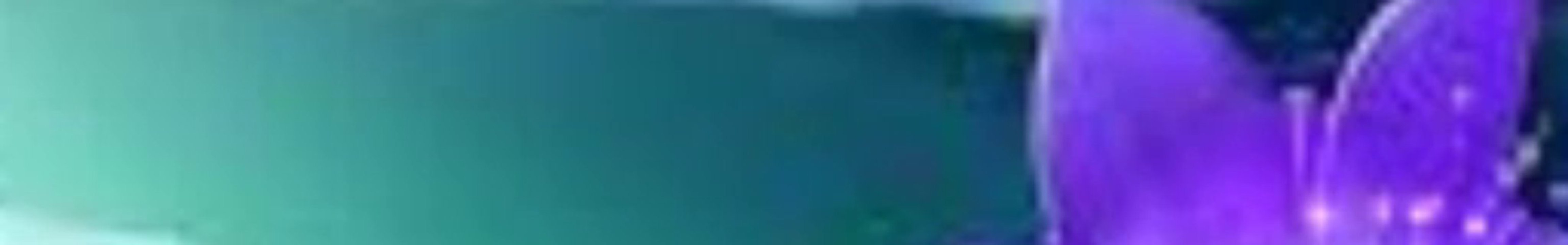 Ibrahim Ilen Flowers