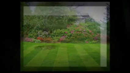 Professional Yard Services llc (801) 254-2890