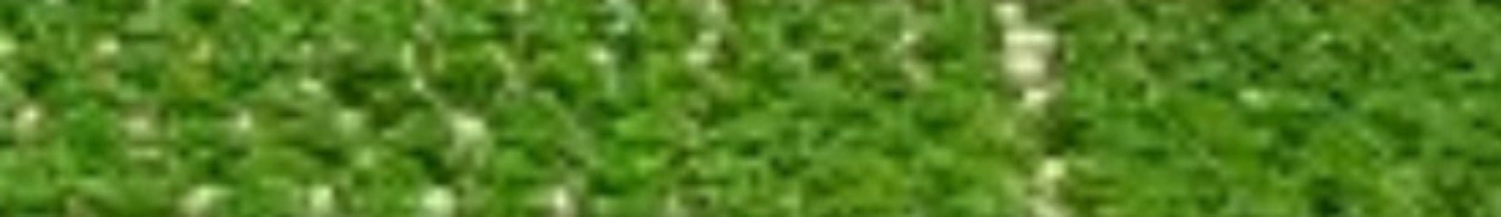 Ibrahim Ilen Strawberry Farm