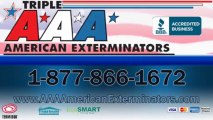 Triple AAA American Exterminators – CT Pest Control