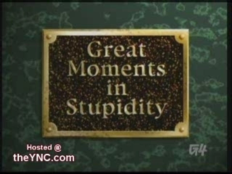 Stupid