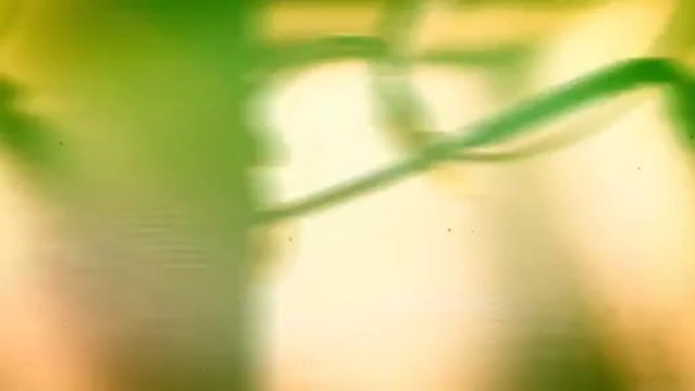 Fettah Can - Özledim (Lyric Video)