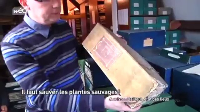 Sauvons les plantes sauvages !