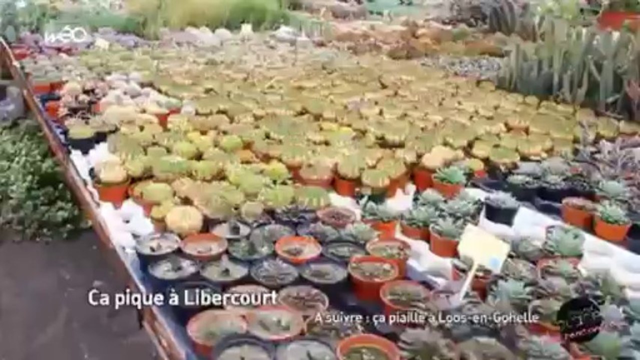 Grand'Place rencontres HENIN-CARVIN