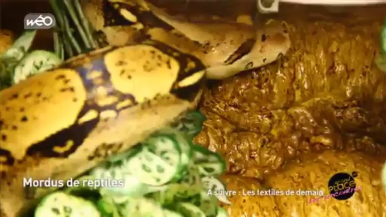 Grand'Place rencontre Tourcoing