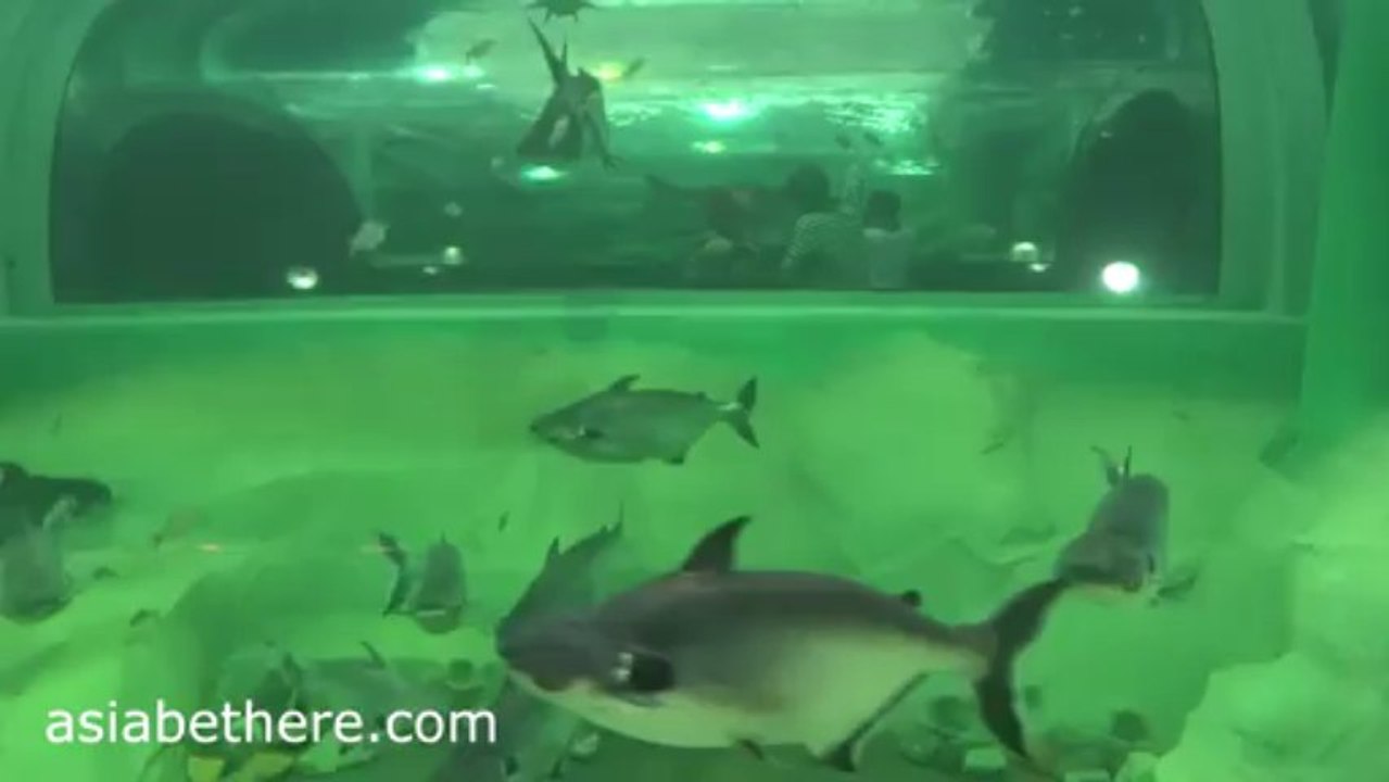 Chainat Bird Park Aquarium V
