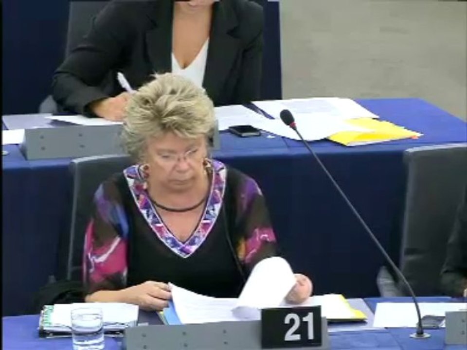 Elisabeth MOrin-Chartier_Session plénière_Égalité des rémunérations entre travailleurs masculins et travailleurs féminins _09092013