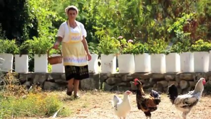 Grichenland  Hotel Grecotel Agreco Farm Rethymno Crete Willkommen