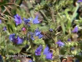 Ardahan Belgeseli 2013 @ MEHMET ALİ ARSLAN Videos