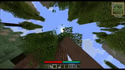 [MINECRAFT] Guide pour débuter sur TerraFirmaCraft