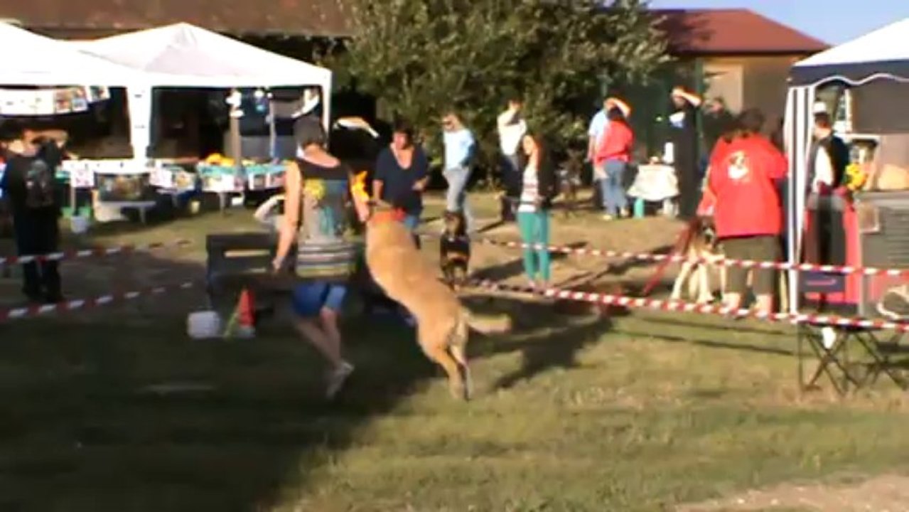 EMLA ET VLATI : OBE RYTHMEE (1)