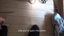 Las travesuras del senor Gato dejame jugar carajo