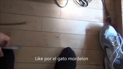 Las travesuras del senor Gato dejame jugar carajo