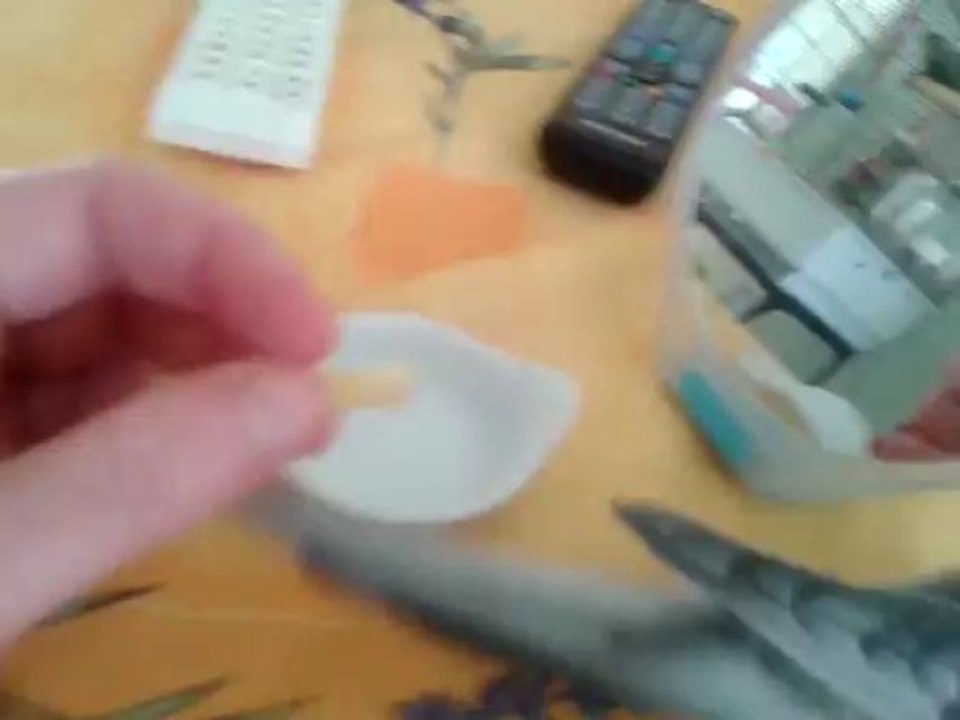 Caly, ma calopsitte eam :  la promotion pour une graine