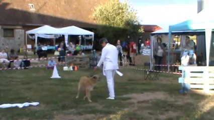 EMLA ET VLATI OBE RYTHMEE (2)