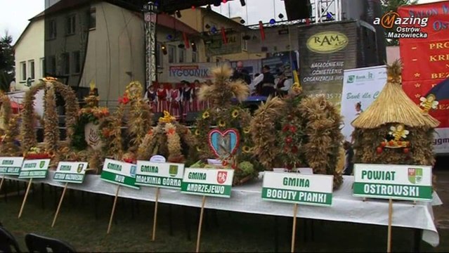 VI Dożynki Powiatowe w Bogutach - Piankach 2013