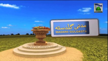 Useful Information 426 - Namaz me Pakizgi - Haji Amin Attari