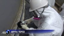 TEPCO finds high radiation in Fukushima groundwater