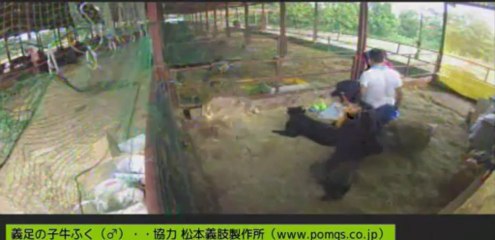 20130905　バスマット敷き　しずお姉さん　女性男性ボラさん