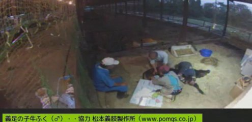 20130905　伊東先生　しずお姉さん　ようこちゃん