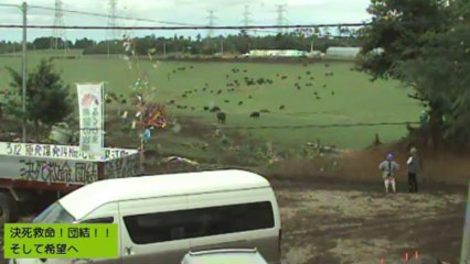 2013-09-06 13-52　牧場　撮影隊と牛たち