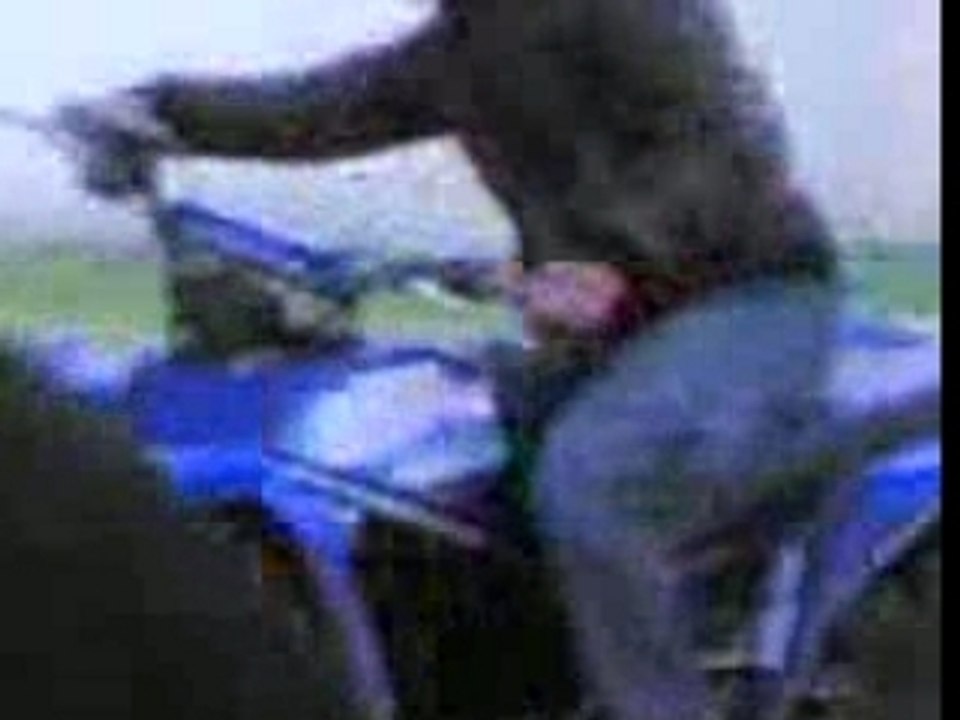 quad ed watt