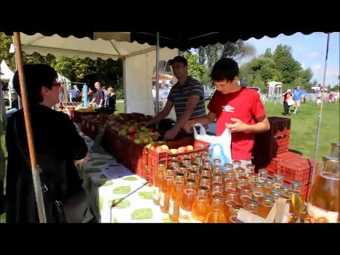La fête de l'âne, Estiv'ânes à Estaires