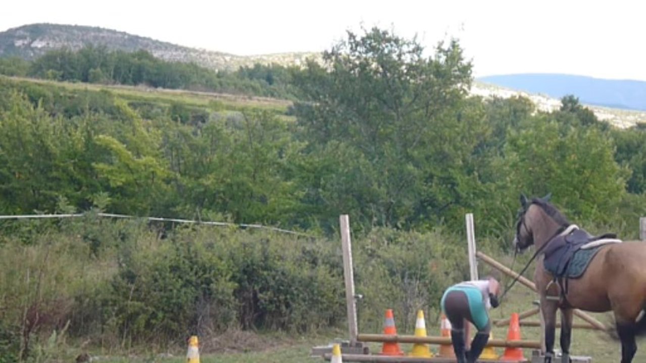 Reprise travail sur les barres Véo 10/09/13 2eme partie