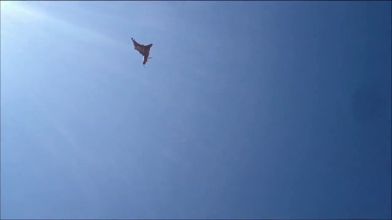 F magical - Malicia Darkwave