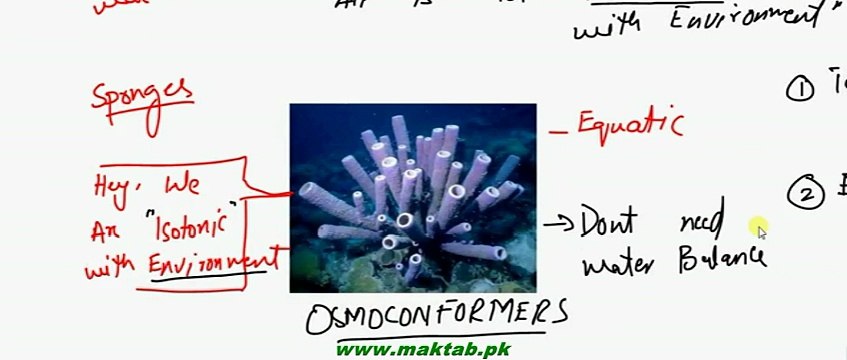 FSc Biology Book2, CH 15, LEC 4, Osmoregulation in Animals