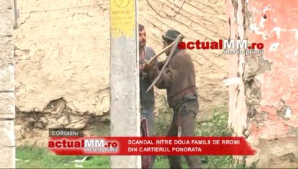 scandal intre tigani la ponorata actualmm