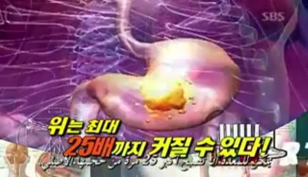 Super Junior - Exploring The Human Body E 2 P 3 ARABIC SUB