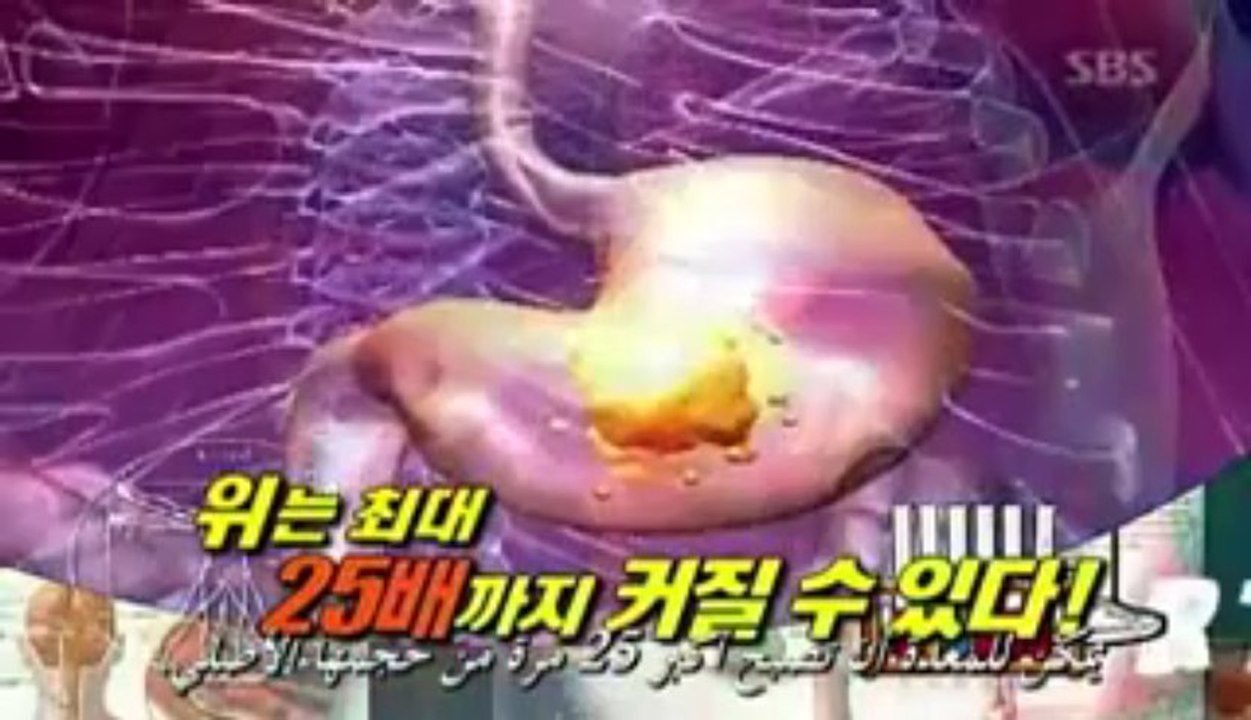 Super Junior - Exploring The Human Body  E 2 P 3  ARABIC SUB