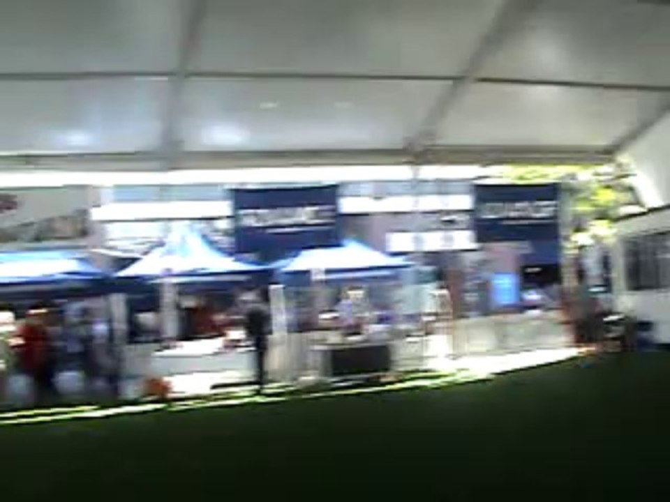 Iggies at ECCA Show 2013