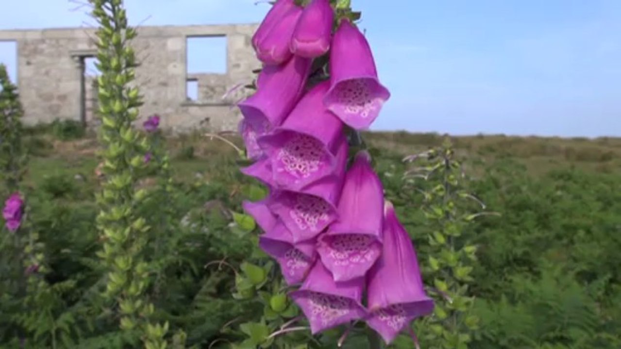 Earth Colors, en ULM : sud Ecosse, Pays Galles , Cornouailles par Thierry BARBIER