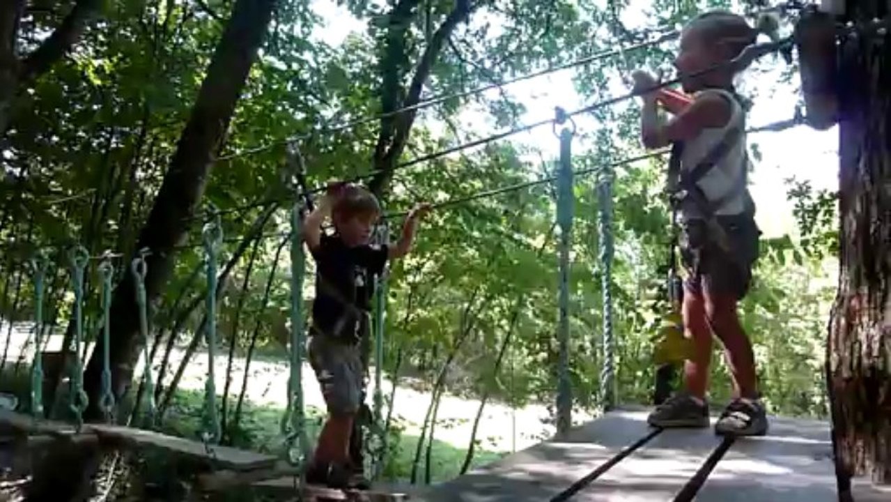 Sur le pont singe...