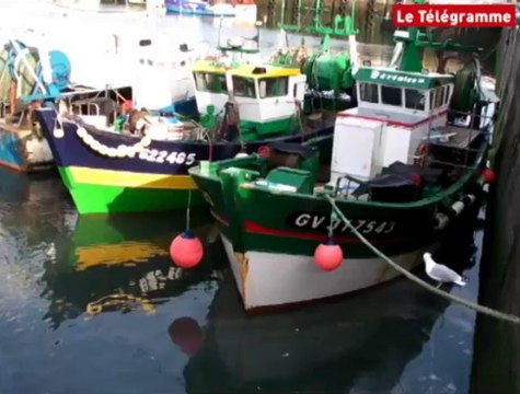 Loctudy (29). Les pêcheurs bigoudens opposés au clapage en mer