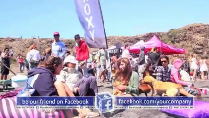 Social Media Network Package - After Effects Template