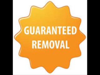 The Hollywood Gossip mugshots