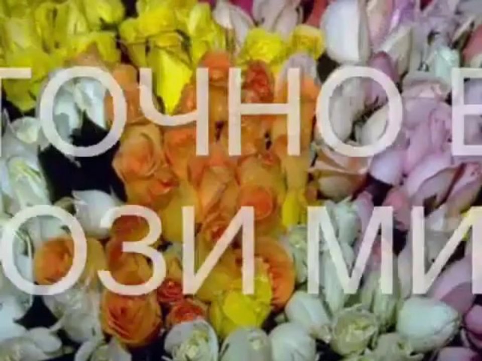 Недей съжалява..