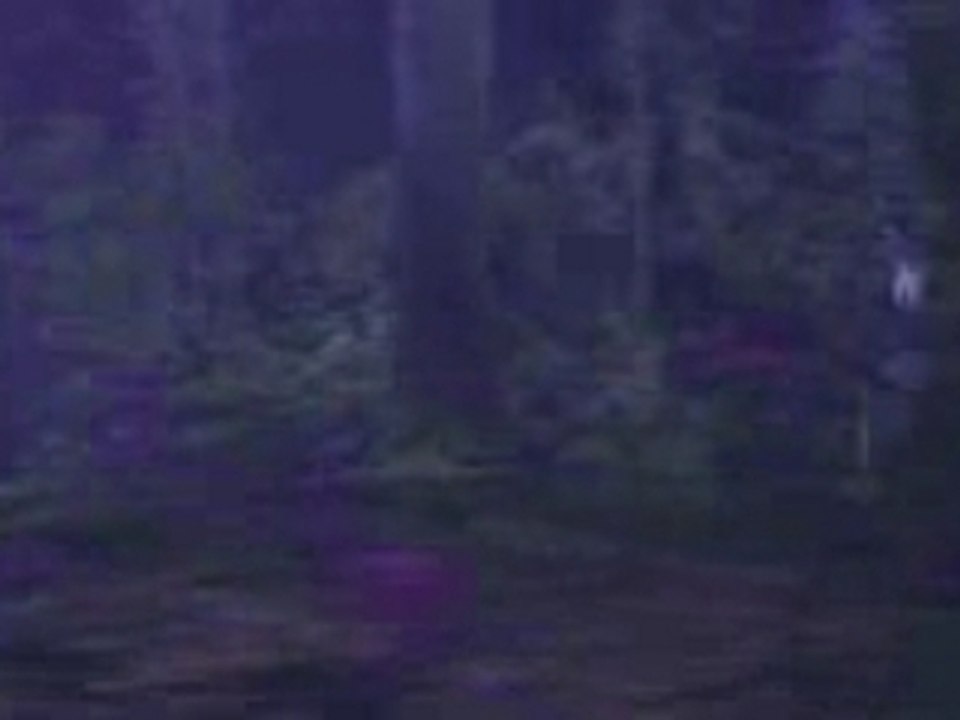 World Of Warcraft - Fr