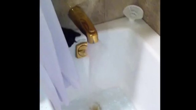 Cat Takes Hilarious Involuntary Bath
