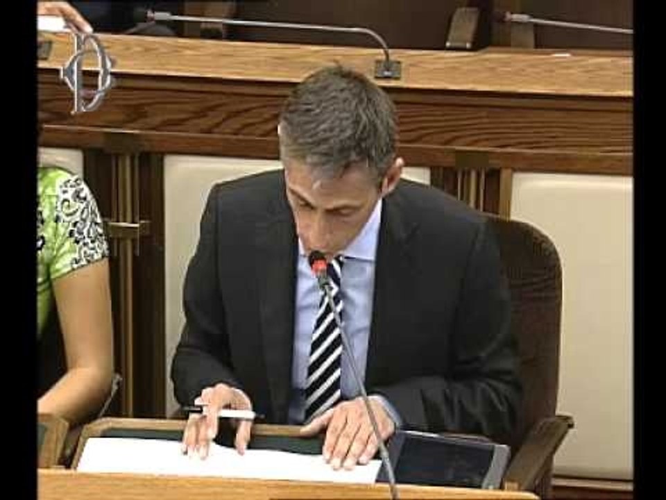 Roma - Audizione del Direttore di RAI Fiction, Andreatta (10.09.13)