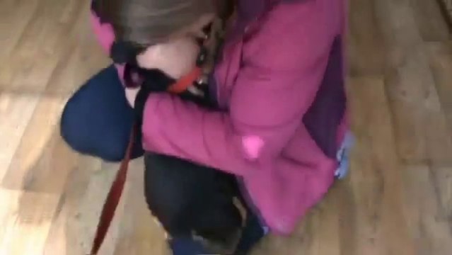 Dog Lost for 22 Months Reunites with his Owners!! Cutest dog video of the year!!