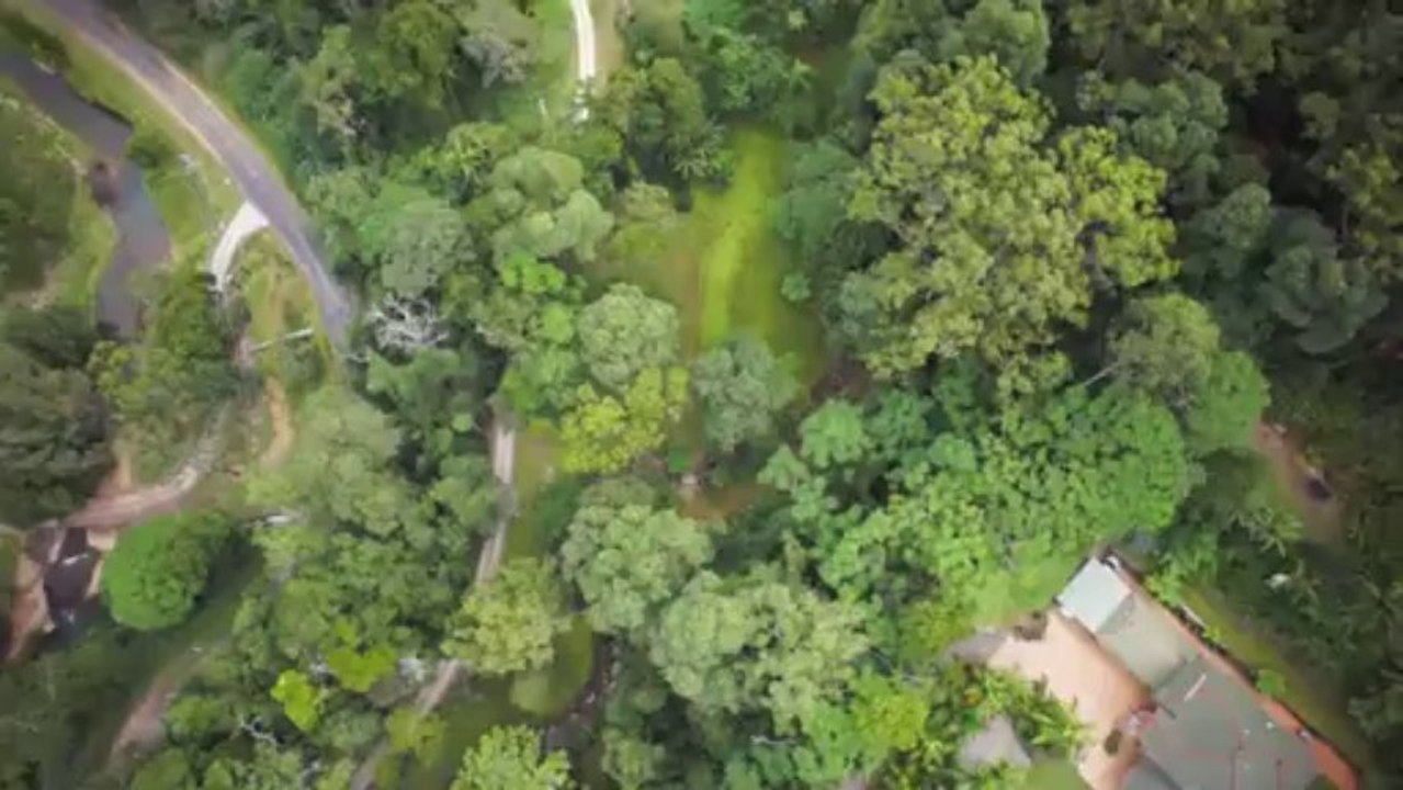 MEM Property Management: We Will Help You Buy Your Dream Home