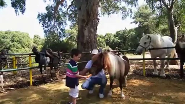 Griechenland Hotel Grecotel Olympia Riviera Resort luxury beach resort